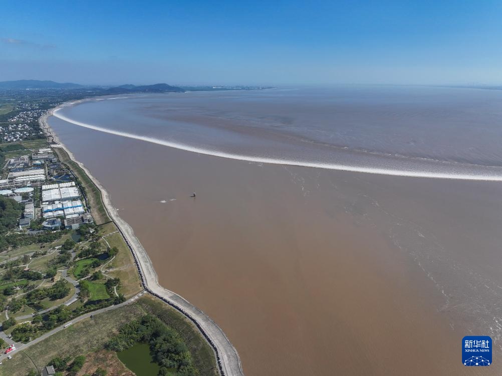 潮落钱塘 “树”生潮汐 潮落钱塘 “树”生潮汐