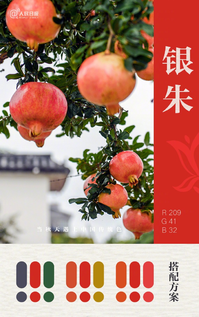 大美中国的秋日配色太高级了！