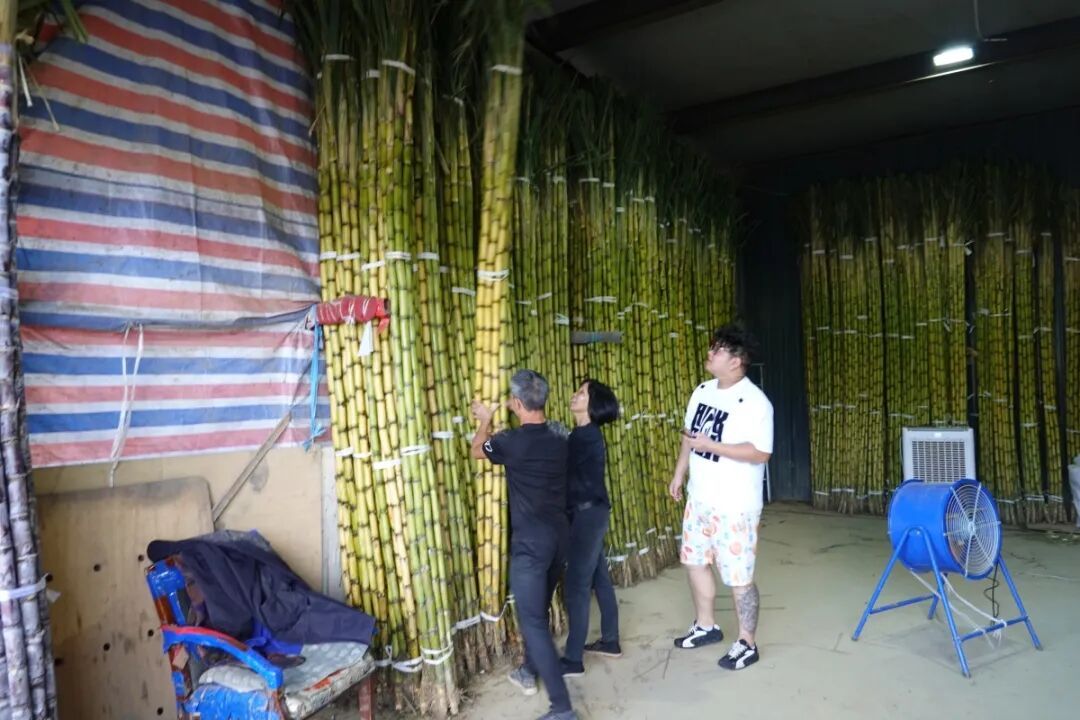 宁波已集中上市！天气冷一点，会更好吃