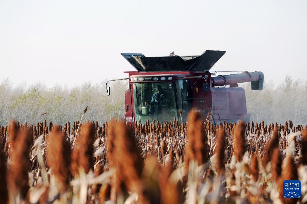 沃土为基 粮丰满仓