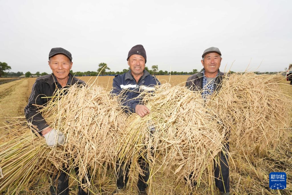 沃土为基 粮丰满仓