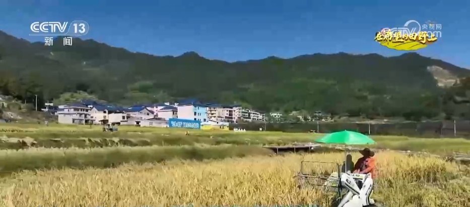 田间地头处处好“丰”景 机械化助力秋收“加速度”
