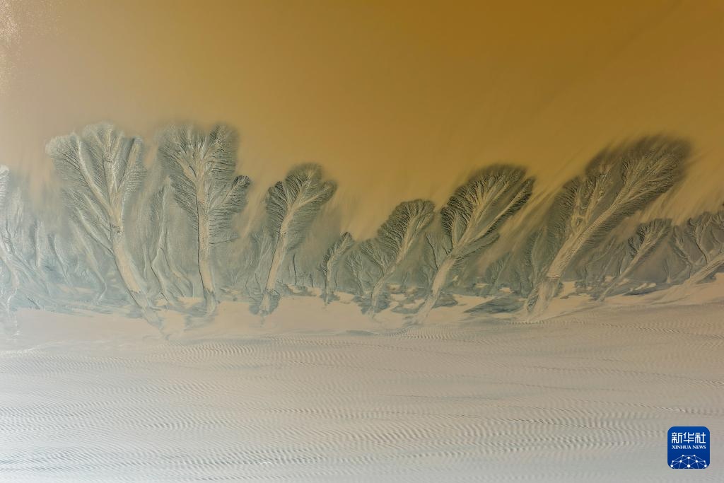 潮落钱塘 “树”生潮汐 潮落钱塘 “树”生潮汐