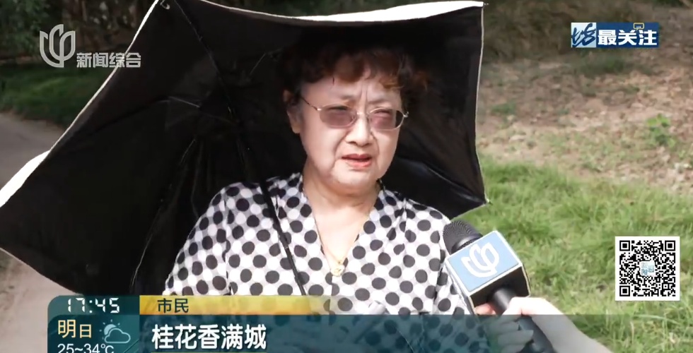 上海比埃及还热？今天更猛！百年纪录一破再破！冷空气真的要来了，倒计时