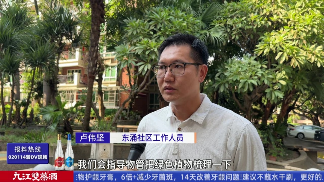 头皮发麻！广州一小区疑有蛇窝，有蛇曾钻进鞋里……