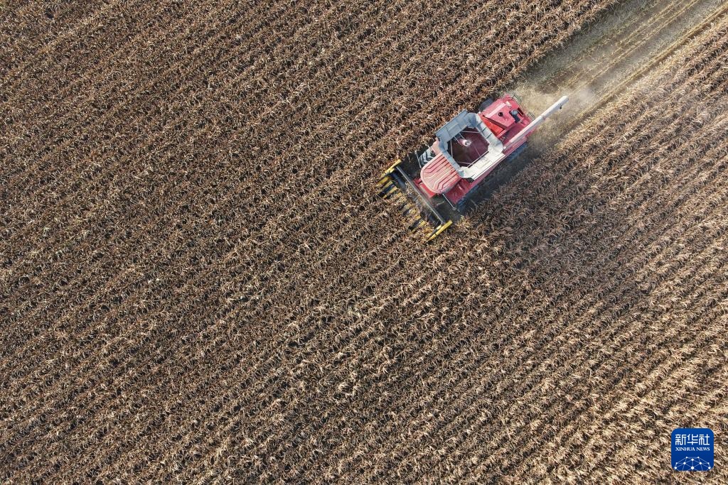 沃土为基 粮丰满仓