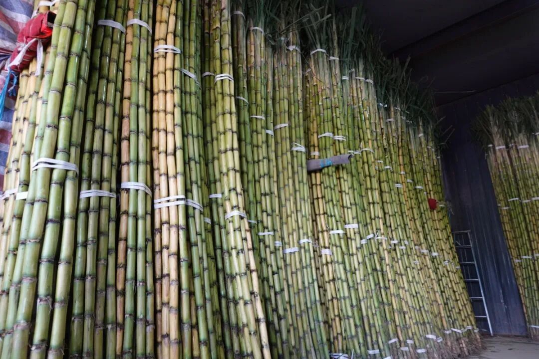 宁波已集中上市！天气冷一点，会更好吃