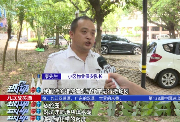 头皮发麻！广州一小区疑有蛇窝，有蛇曾钻进鞋里……