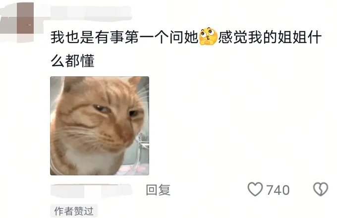 遇到问题找姐姐？网友：虽然我是成年人，但她是“高级成年人”🤩