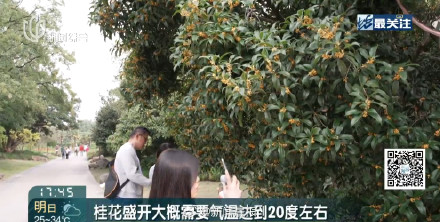 上海10月初热过埃及了 上海热到植物内分泌失调