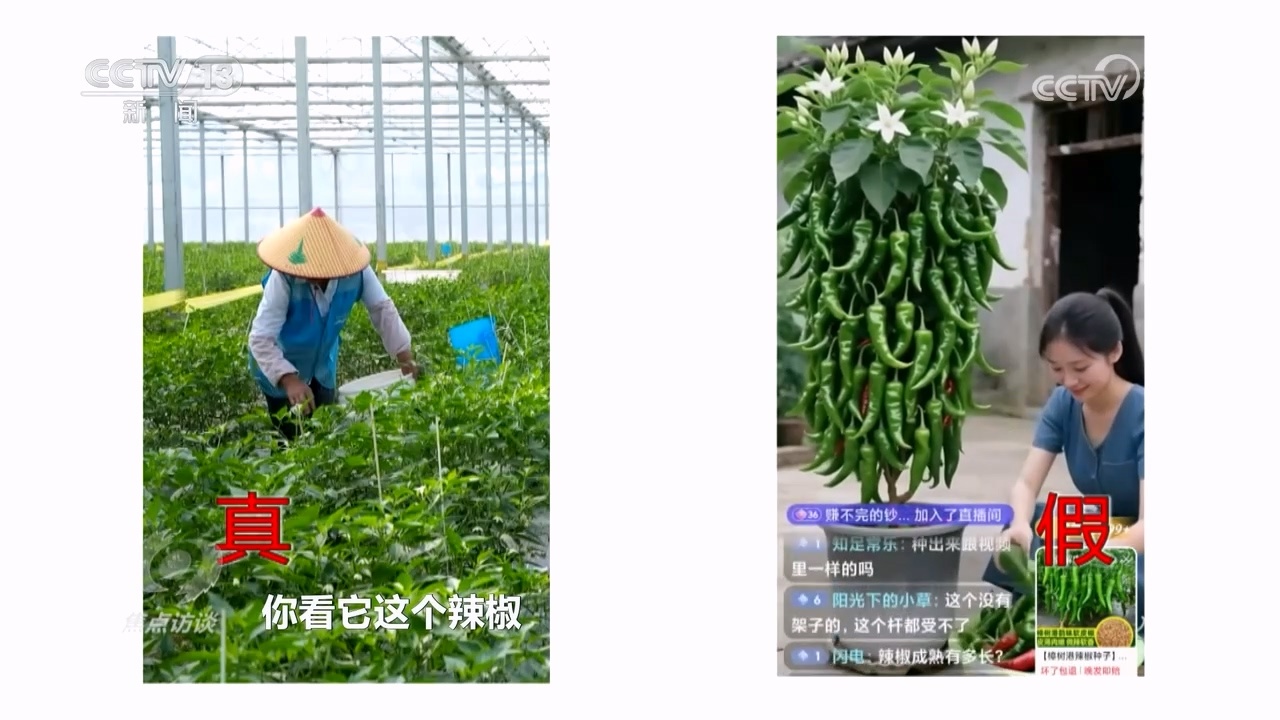 真假难辨 警惕AI带货“李鬼”！