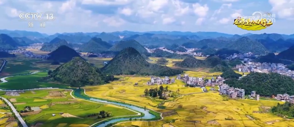 田间地头处处好“丰”景 机械化助力秋收“加速度”