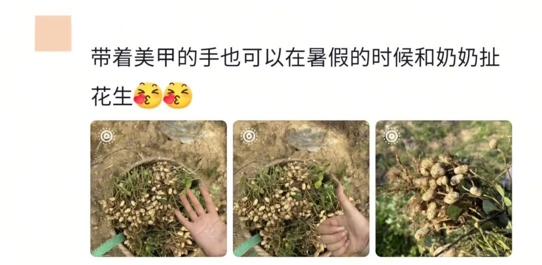 “区区美甲，不耽误和奶奶扯花生！”