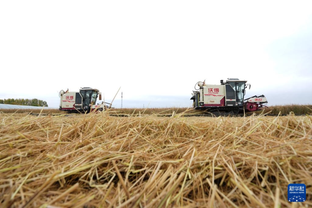 沃土为基 粮丰满仓