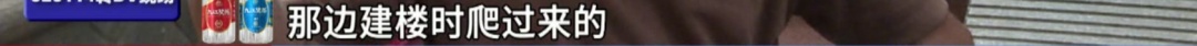 头皮发麻！广州一小区疑有蛇窝，有蛇曾钻进鞋里……