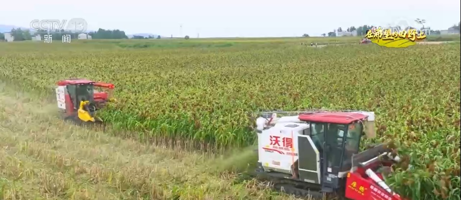 田间地头处处好“丰”景 机械化助力秋收“加速度”