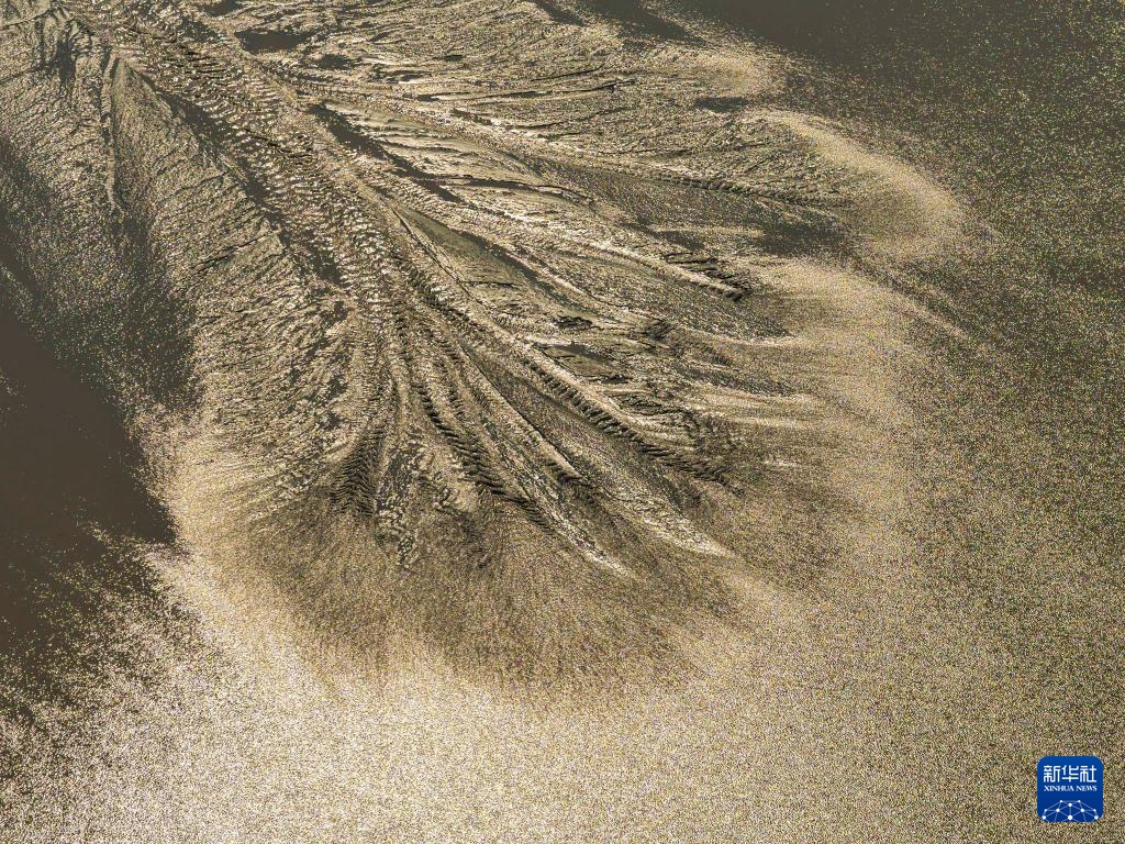 潮落钱塘 “树”生潮汐 潮落钱塘 “树”生潮汐