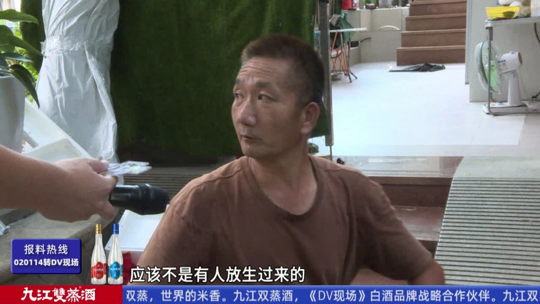 头皮发麻！广州一小区疑有蛇窝，有蛇曾钻进鞋里……