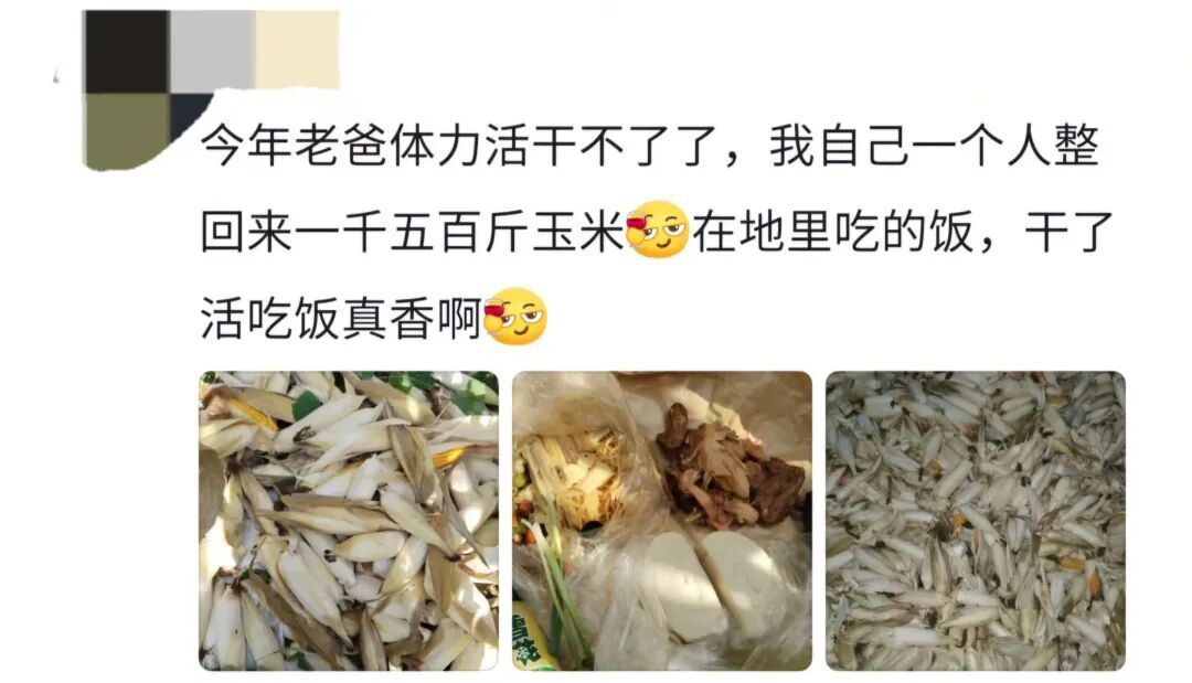 “区区美甲，不耽误和奶奶扯花生！”