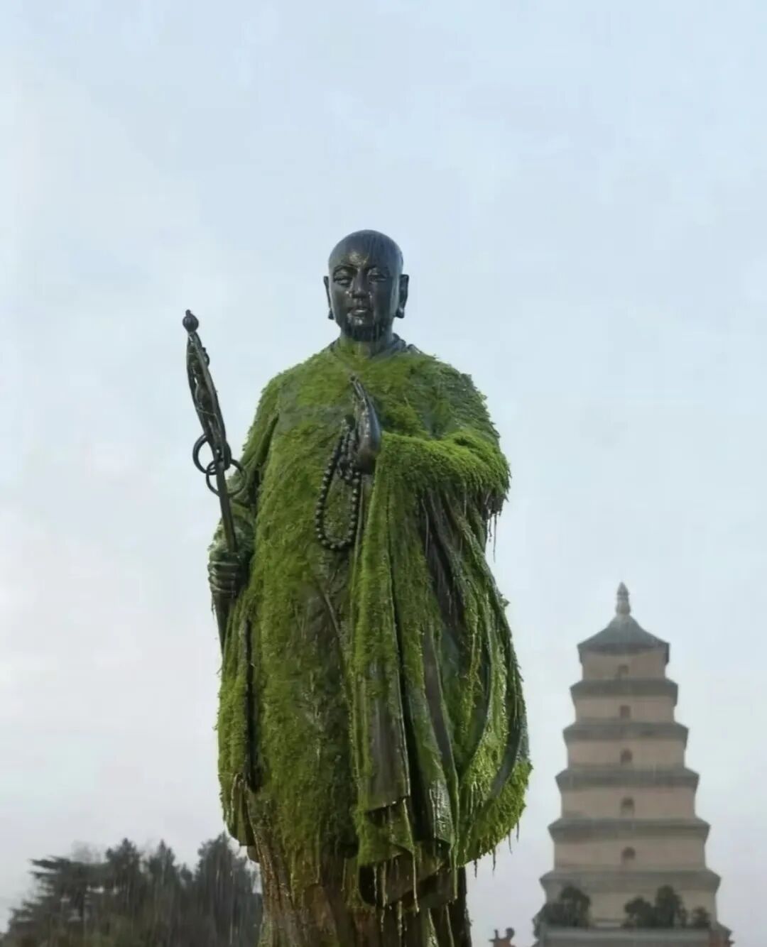西安连续阴雨致玄奘法师铜像长满青苔？大慈恩寺回应