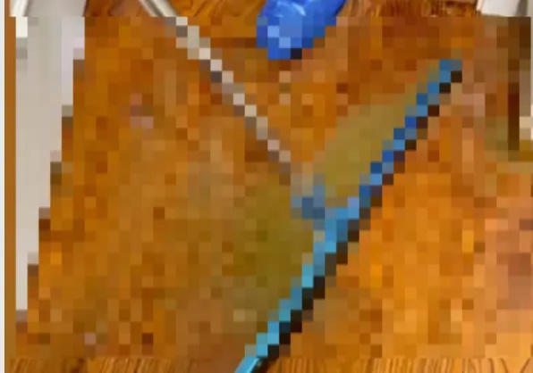 “不止一次！”上海阿姨崩溃，国庆旅游回家，精装房竟变成“化粪池”