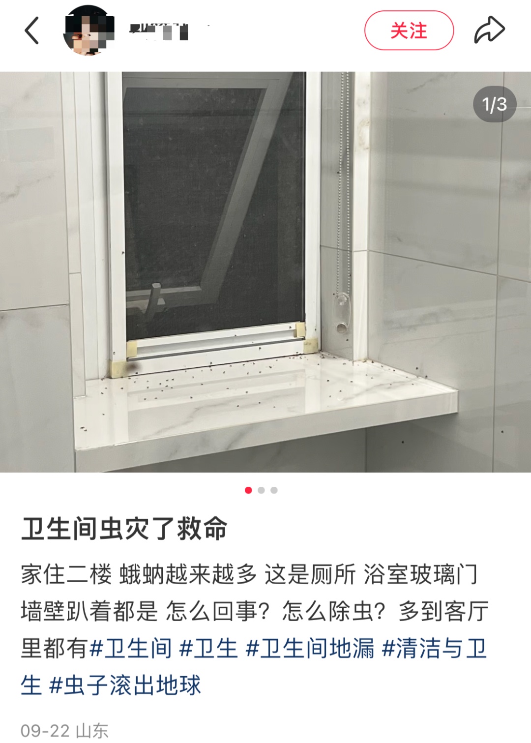 这种虫子看到一只，你家里很可能已有很多只了……