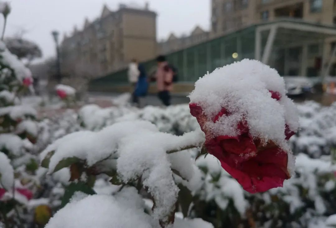 暴雨！局地暴雪！速看新疆天气预报