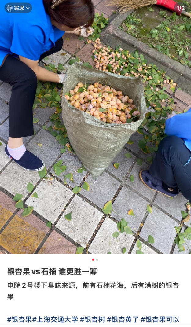 上海街头正大量出现：千万不要捡！不要吃！每年都有人被送进ICU……