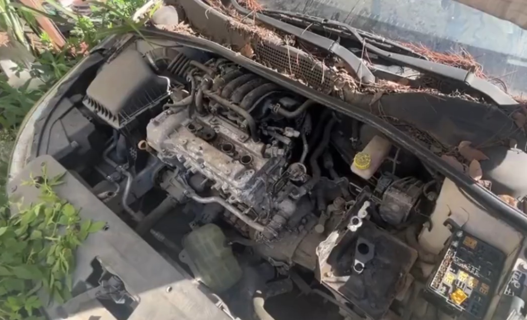 浙江男子把私家车停路边两年,一次也没去看过!如今要用车时傻眼:还能这样? 浙江男子把私家车停路边两年,一次也没去看过!如今要用车时傻眼:还能这样?