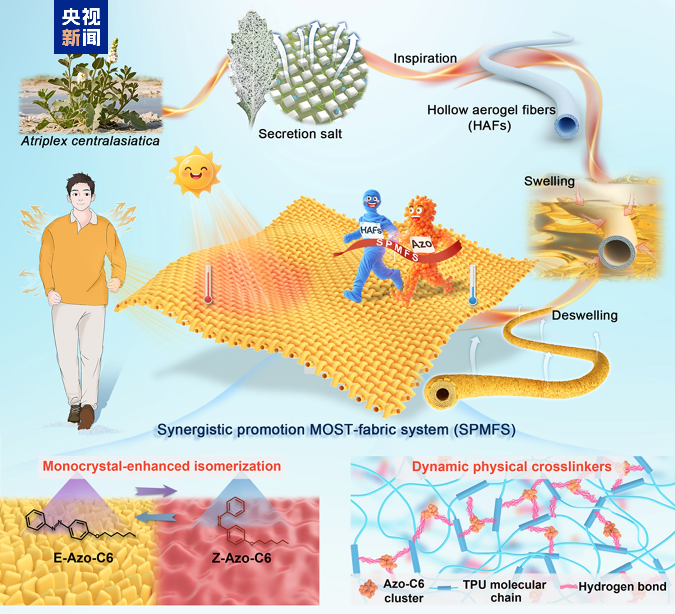 光照12秒就能升至40℃ 这种神奇织物实现“智能保暖” 光照12秒就能升至40℃ 这种神奇织物实现“智能保暖”