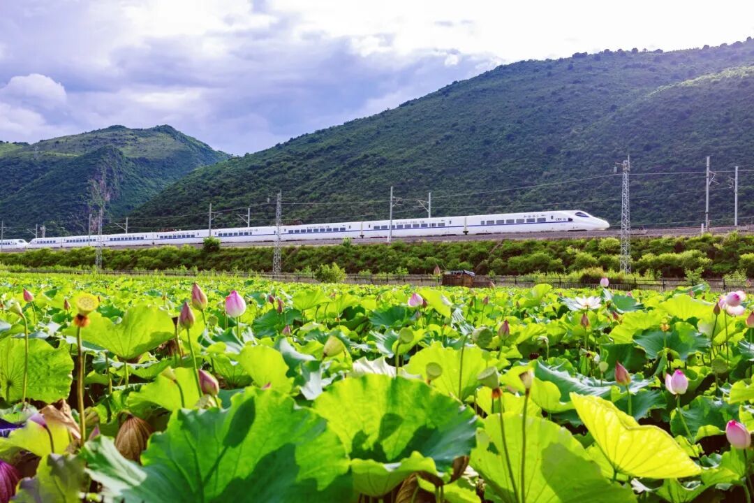 又一地安检仪，检出满屏“小红球”……