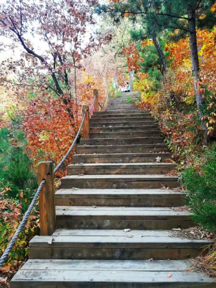 河北承德：木兰围场五道沟秋景