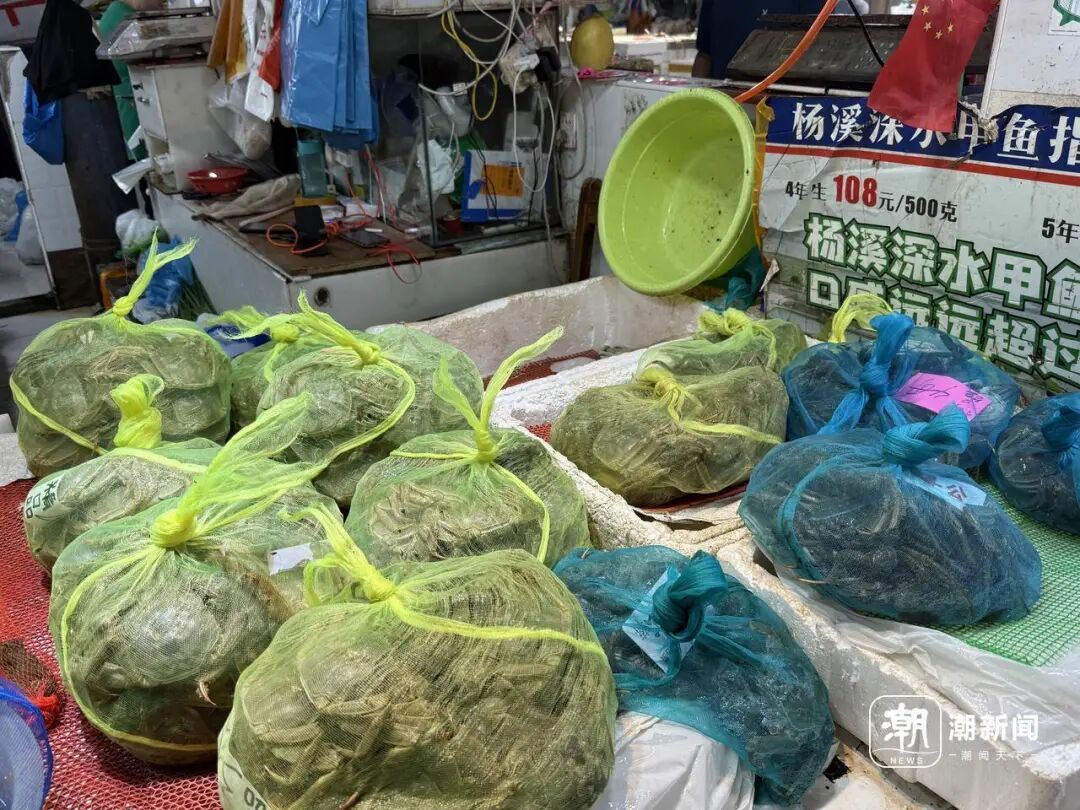 连吃4只，男子紧急送医！浙江正大量上市，医生提醒：不要这样吃