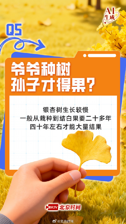 七个知识点读懂银杏