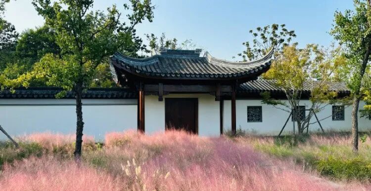 降温!这个周末“动真格”,上海人终于等到了 降温!这个周末“动真格”,上海人终于等到了