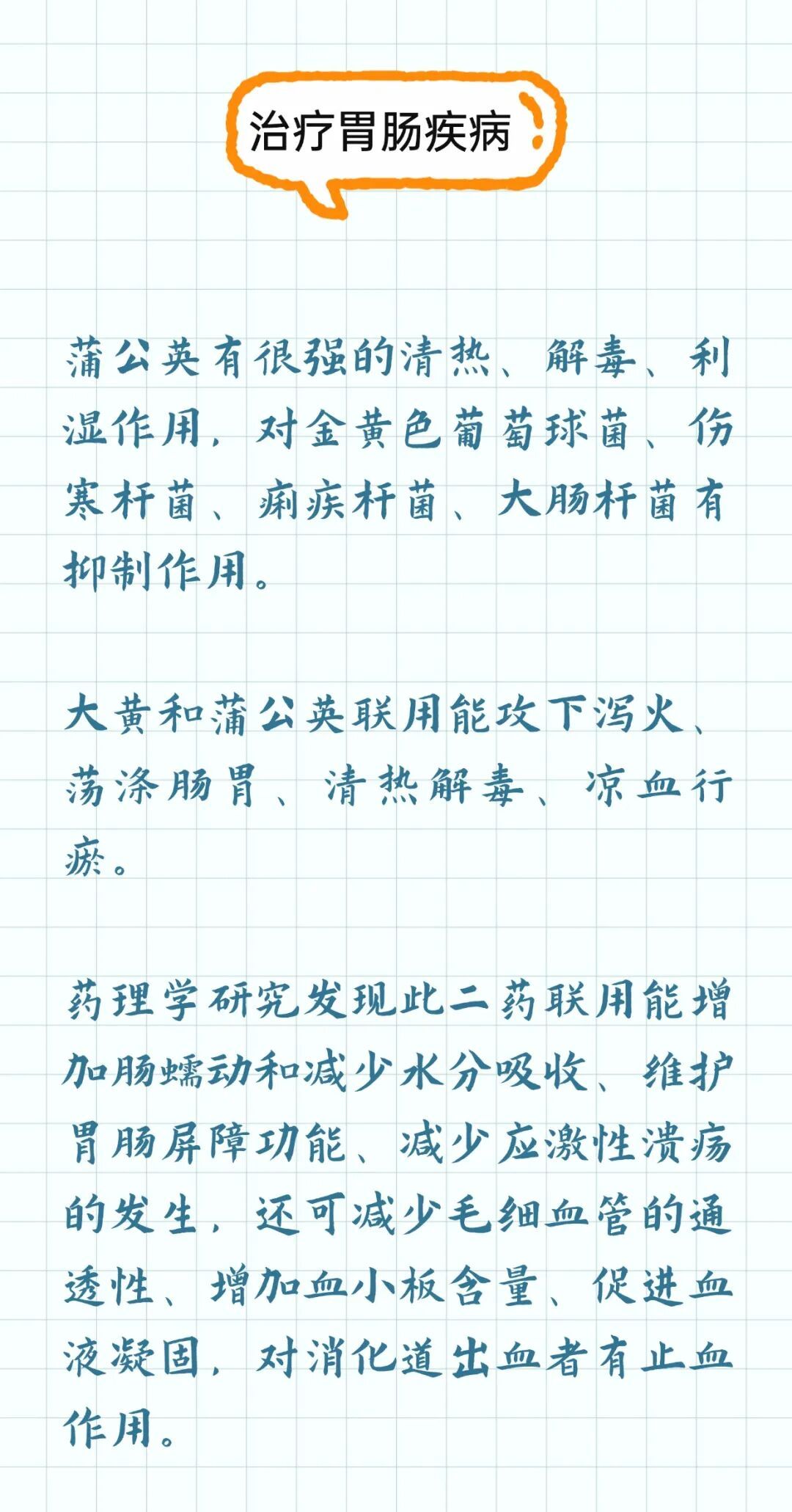 这个宝藏植物被称为“草药皇后”，清热解毒、消肿散结，很多人不知道！