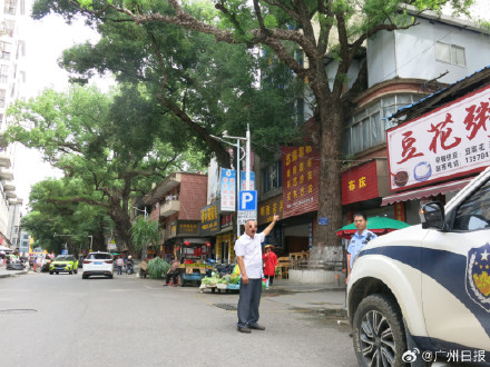 男子因采光不好给220年古樟树投毒，已被采取刑事强制措施