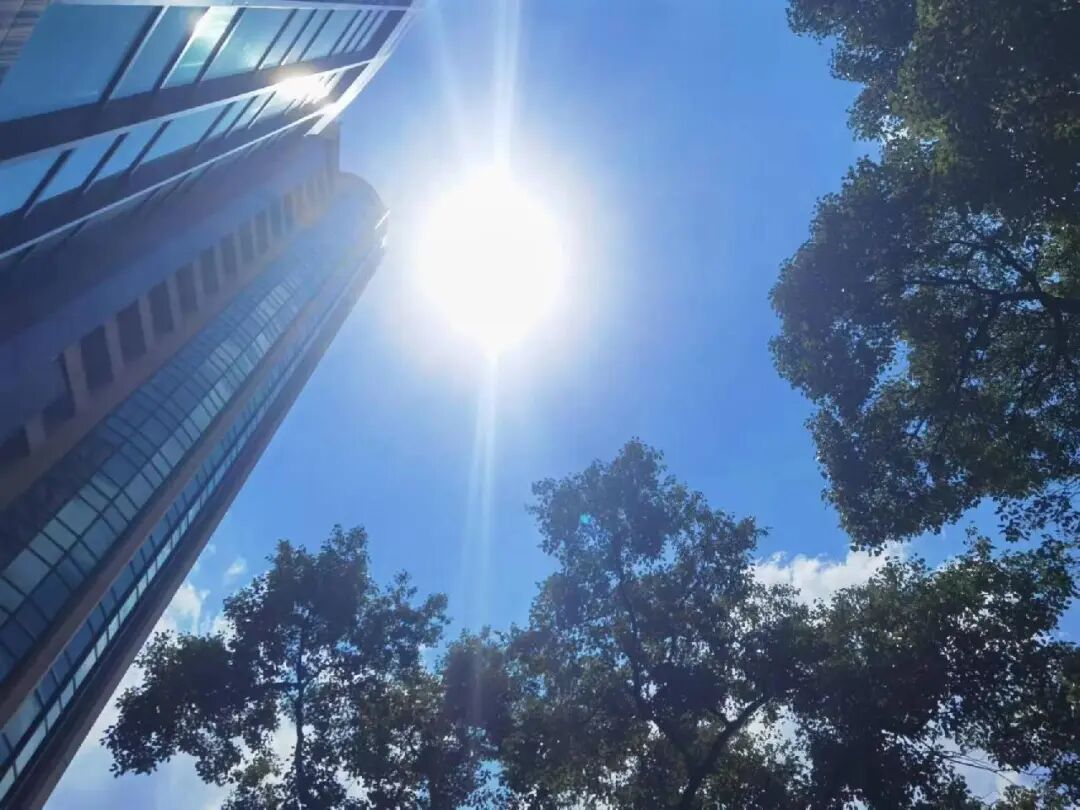 降温!这个周末“动真格”,上海人终于等到了 降温!这个周末“动真格”,上海人终于等到了