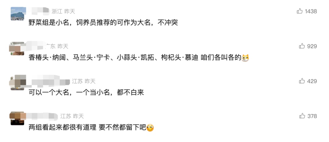 “野菜F4”断层第一，大猩猩征名“翻车”？园方：认了！