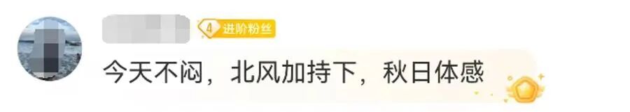 终于等到你！这个周末上海有望“一夜入秋”！明天大雨，今年桂花还开不开？