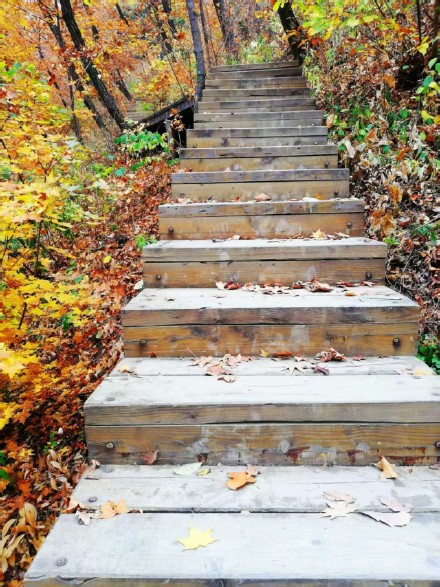 河北承德：木兰围场五道沟秋景