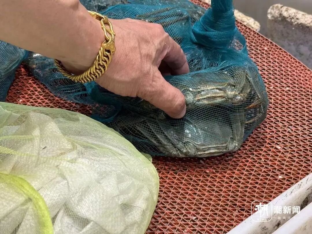 连吃4只，男子紧急送医！浙江正大量上市，医生提醒：不要这样吃