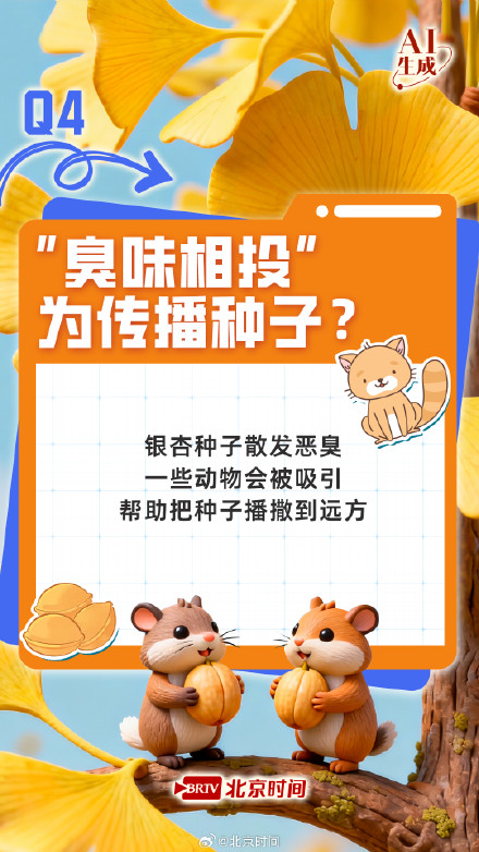 七个知识点读懂银杏