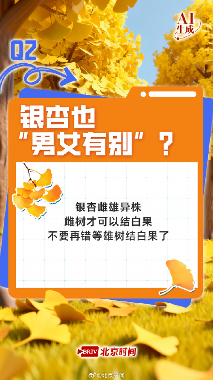 七个知识点读懂银杏