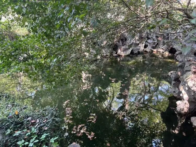 降温!这个周末“动真格”,上海人终于等到了 降温!这个周末“动真格”,上海人终于等到了