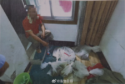 吓人！两男子携带上百条蛇住酒店被抓