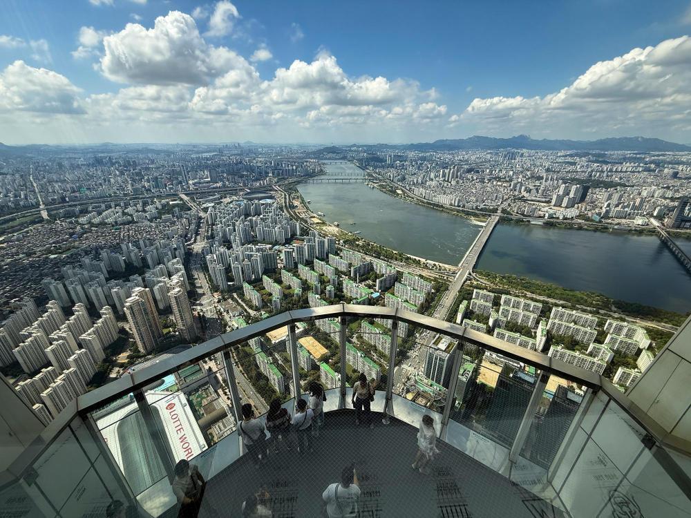 韩国首尔老鼠增多 气候变化或为主因 韩国首尔老鼠增多 气候变化或为主因