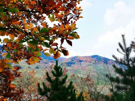 河北承德：木兰围场五道沟秋景