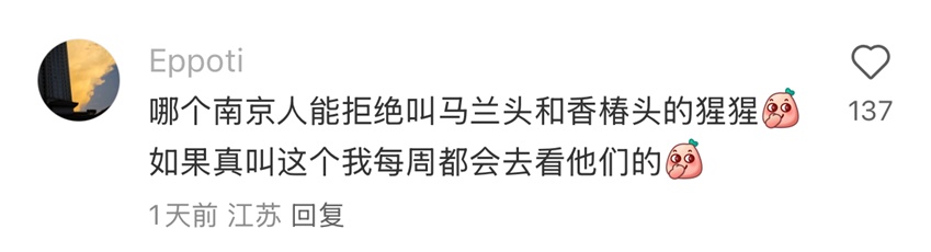 给大猩猩取名叫“香椿头”“马兰头”？网友：我们是认真的！