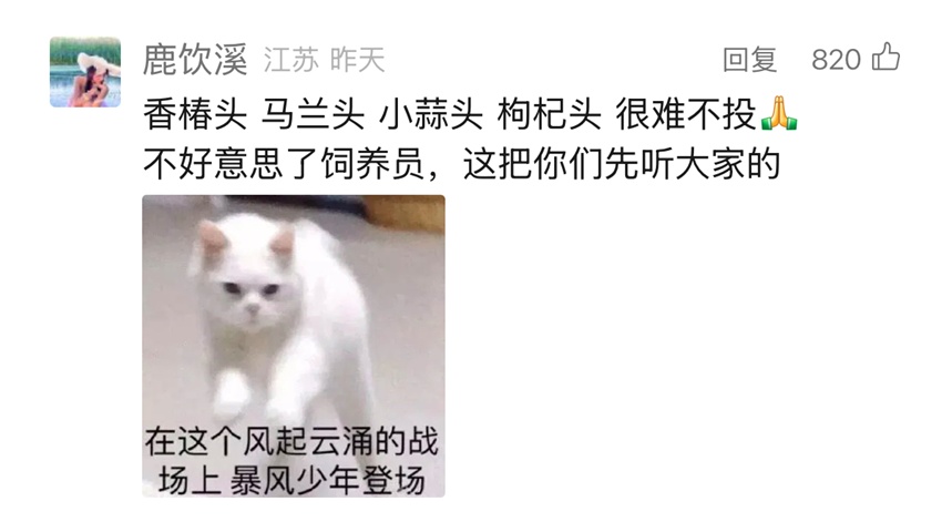 给大猩猩取名叫“香椿头”“马兰头”？网友：我们是认真的！